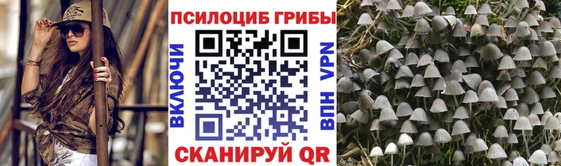 кракен зеркало  наркошоп  Малаховка  Псилоцибиновые грибы прущие грибы 